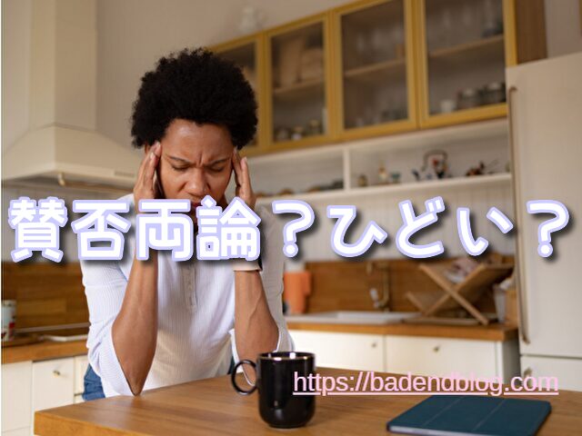 今際の国のアリス 賛否両論 視聴方法
